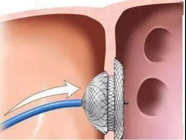 圖片8.jpg 圖片8.jpg